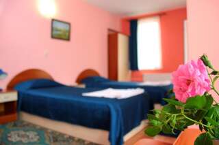 Отель Family Hotel Flora Златоград Двухместный номер с 1 кроватью или 2 отдельными кроватями-20